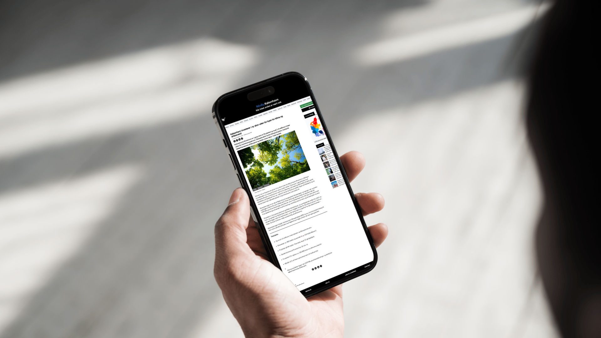 Eksempel pÃ¥ information fra kommune eller lokal aktÃ¸r
